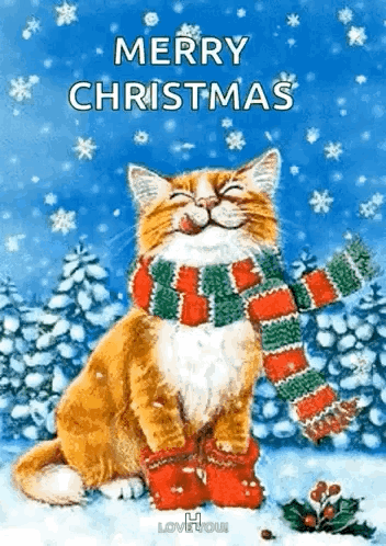 Cat Wearing Scarf And Socks In Snow GIF