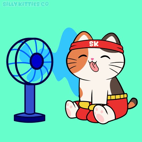 Cat Wearing SK Headband in Front of Fan
