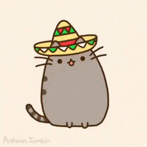 Cat Wearing Sombrero Hat