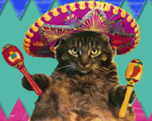 Cat Wearing Sombrero Holding Maraca