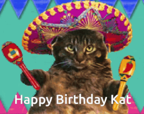 Cat Wearing Sombrero Holding Maracas Happy Birthday Kat
