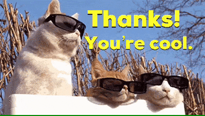 Cat Wearing Sunglass Animated Thank You GIF