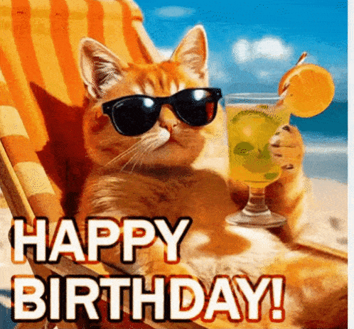 Cat Wearing Sunglasses Holding Drink on Beach