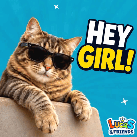 Cat Wearing Sunglasses Laying On Blue Background Saying Hey Girl GIF
