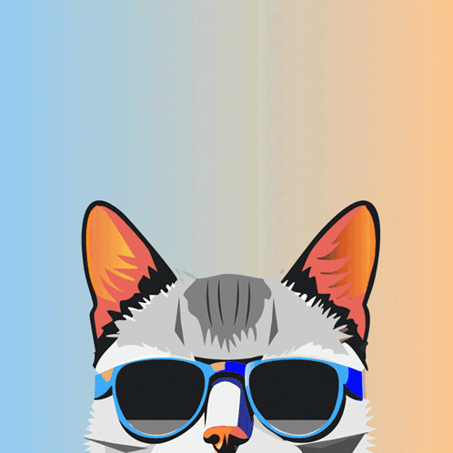 Cat Wearing Sunglasses Saying Nappy
