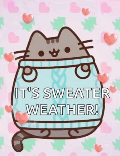 Cat Wearing Sweater Saying Sweater Weather