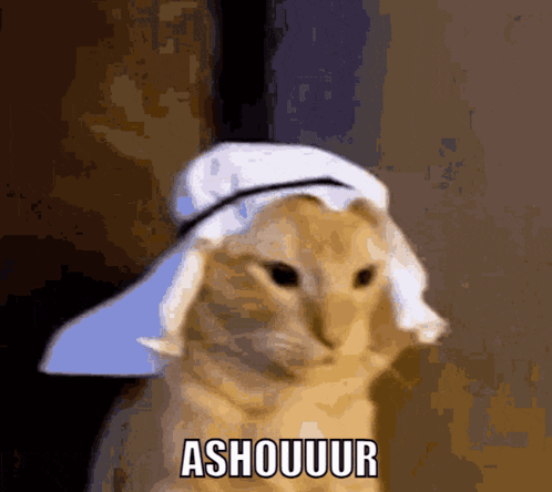 Cat Wearing Towel Saying Ashouuur GIF