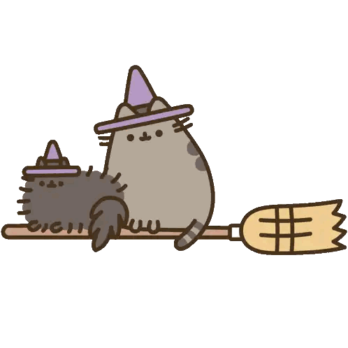 Cat Wearing Witch Hat and Broom