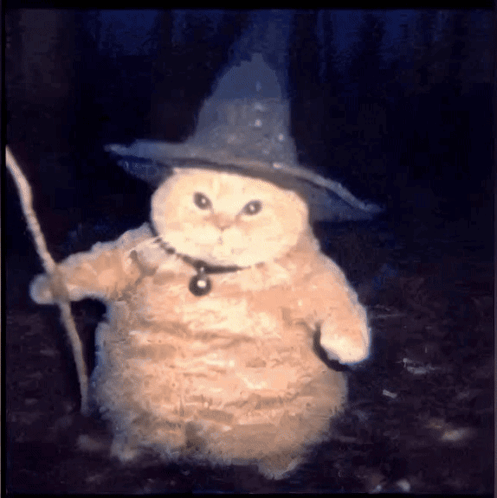 Cat Wearing Witch Hat Holding Cane