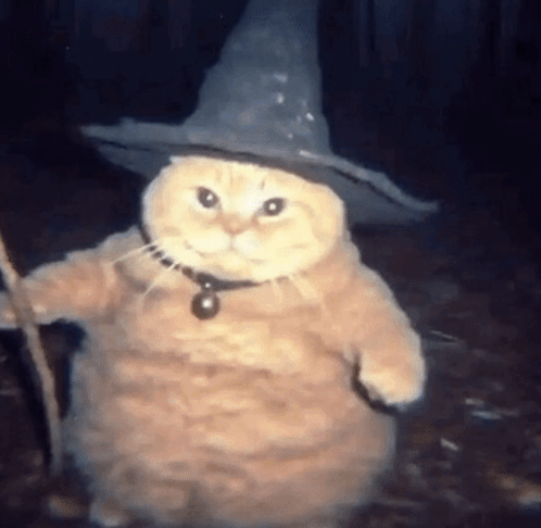 Cat Wearing Witch Hat Holding Wand GIF