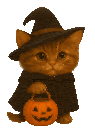 Cat Witch Sticker GIF