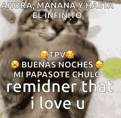 Cat With Ahora Manana Hasta El Infinito Message