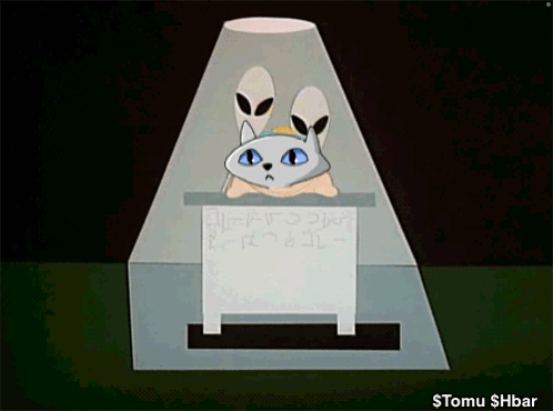 Cat With Alien Ears Holding Sign Stomu $Hbar GIF