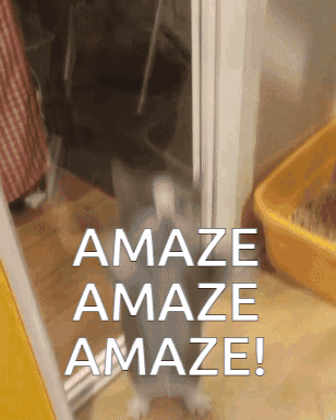 Cat With Amaze Amaze Amaze Sign GIF