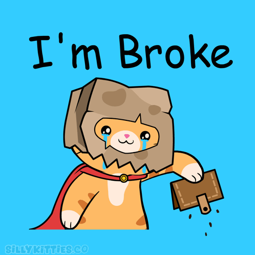 Cat With Bag On Head Saying I'm Broke GIF