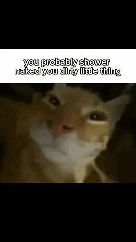 Cat with Beard Says You Probably Shower Naked You Dirty Little Thing