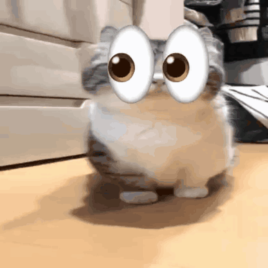 Cat With Big Googly Eyes Walking On Table GIF