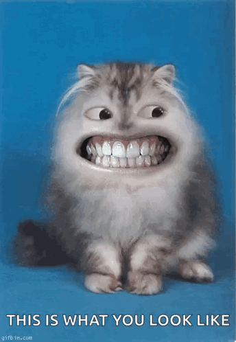 Cat With Big Teeth Saying This Is What You Look Like GIF
