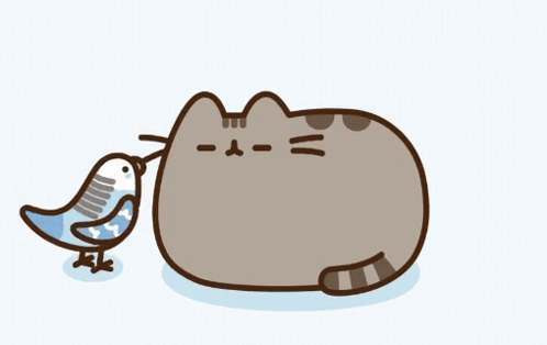 Cat With Bird On Nose GIF