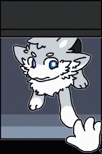 Cat with Blue Eyes