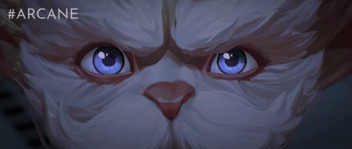 Cat With Blue Eyes Saying Arcane