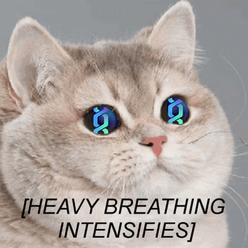 Cat With Blue Eyes Saying Heavy Breathing Intensifies