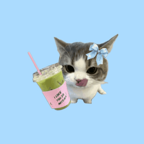 Cat With Bow Holding I Love You So Matcha Cup