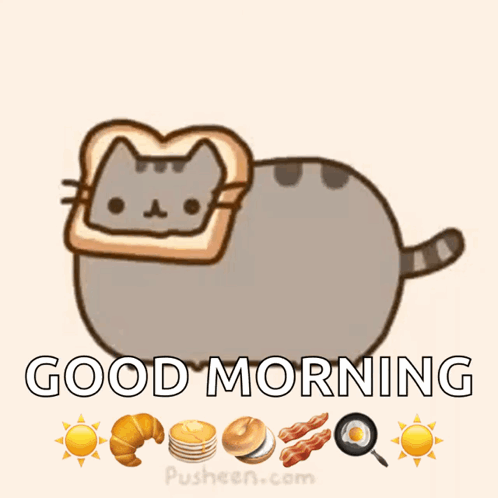 Cat With Bread On Head Good Morning GIF