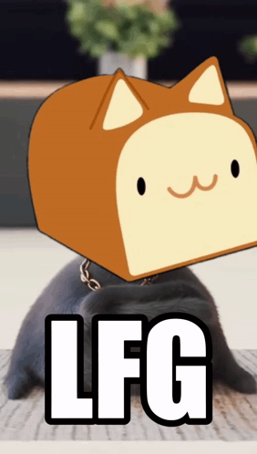 Cat With Bread On Head LFG GIF