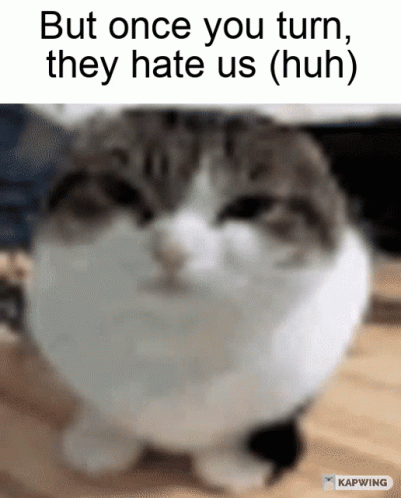 Cat With But Once You Turn They Hate Us Caption GIF