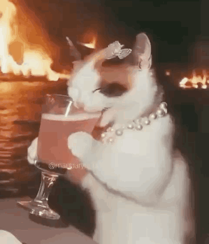Cat with Butterfly on Head Holding Wine