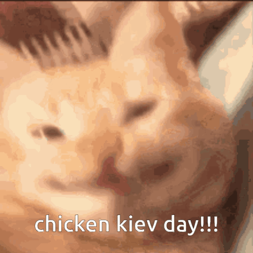 Cat With Chicken Kiev Day Text GIF