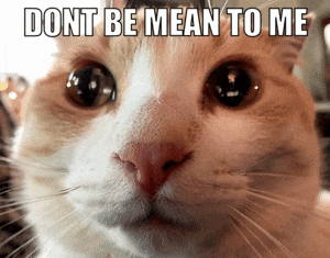 Cat with Dont Be Mean to Me