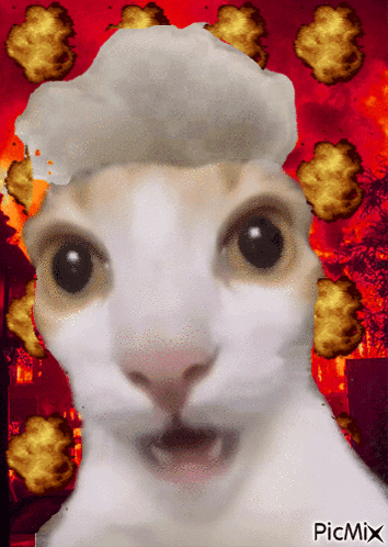 Cat With Explosions And Picmix GIF