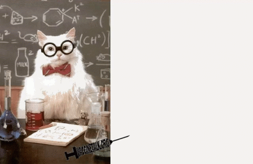 Cat With Eyeglasses Do Your Own Research GIF