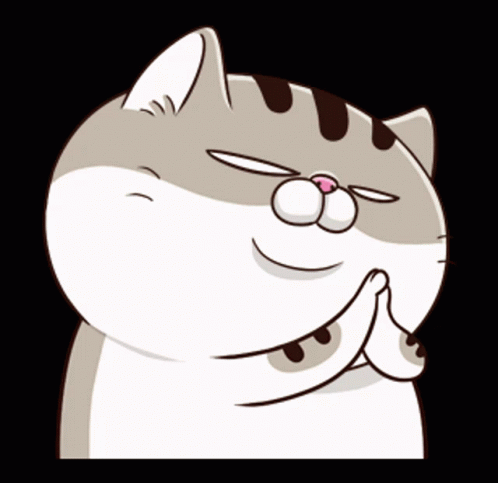 Cat With Eyes Closed and Pink Nose