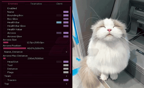 Cat With Eyes Closed Next To Computer Saying Enemies GIF