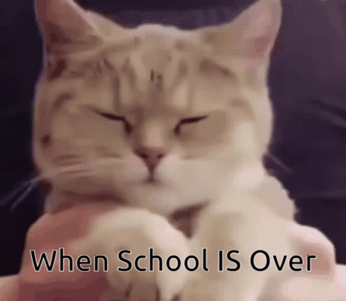 Cat with Eyes Closed When School Is Over