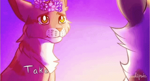 Cat With Flower Crown Saying Take GIF