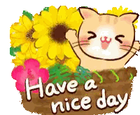 Cat With Flowers and Have a Nice Day