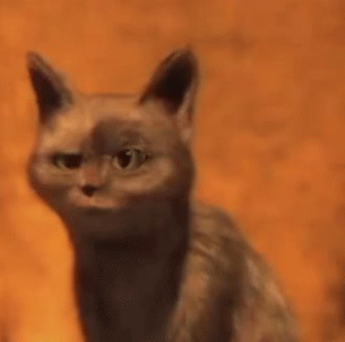 Cat With Food in Mouth Looking at Camera
