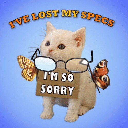 Cat With Glasses Saying I'm So Sorry GIF