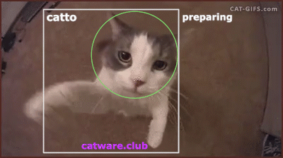 Cat With Green Circle And Catware.club Below GIF