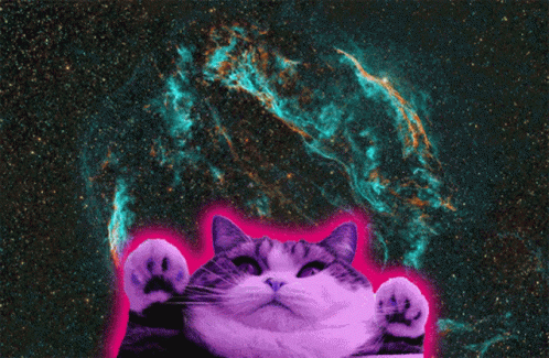 Cat With Green Outline