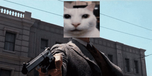 Cat With Gun Cat Clint Eastwood GIF
