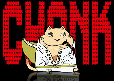 Cat With Gun Chonk GIF