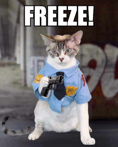 Cat With Gun Freeze GIF