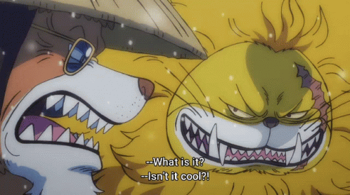 Cat With Gun Kaido With Bullets GIF