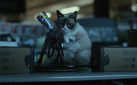 Cat With Gun Shooting Fire GIF