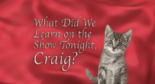 Cat With Gun Shots Mouse GIF